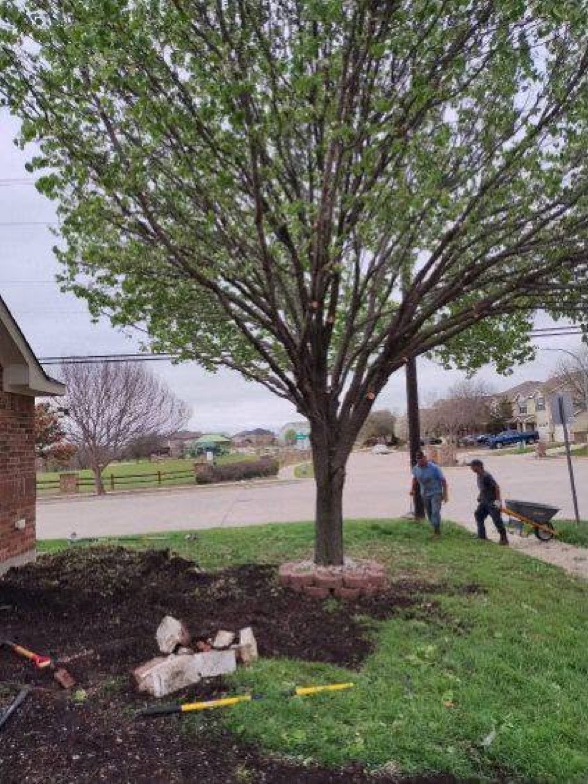 New brick bordered mulch bed built around a front yard tree
